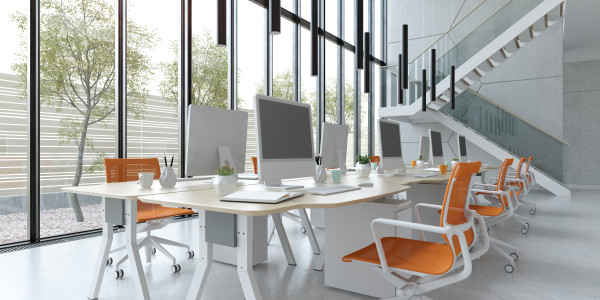 Proyectos de ICT Oficinas / Locales Comerciales els Alamús · Implementación de servicios de transmisión de contenido audiovisual